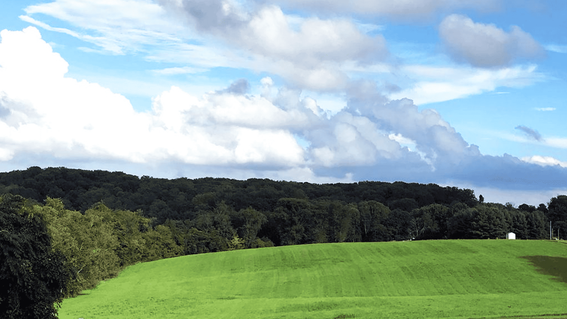 Redeemer grounds; part of the 35 acre campus